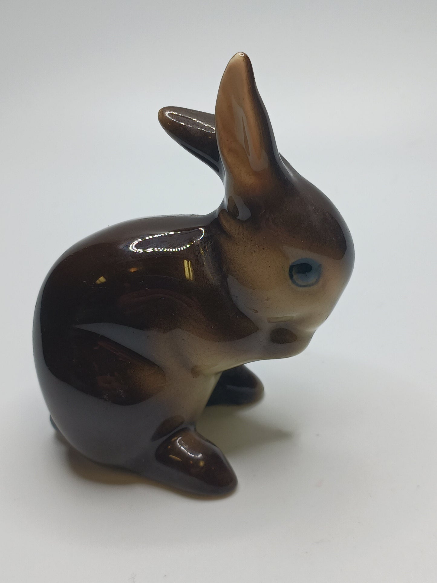 Brown Bunny