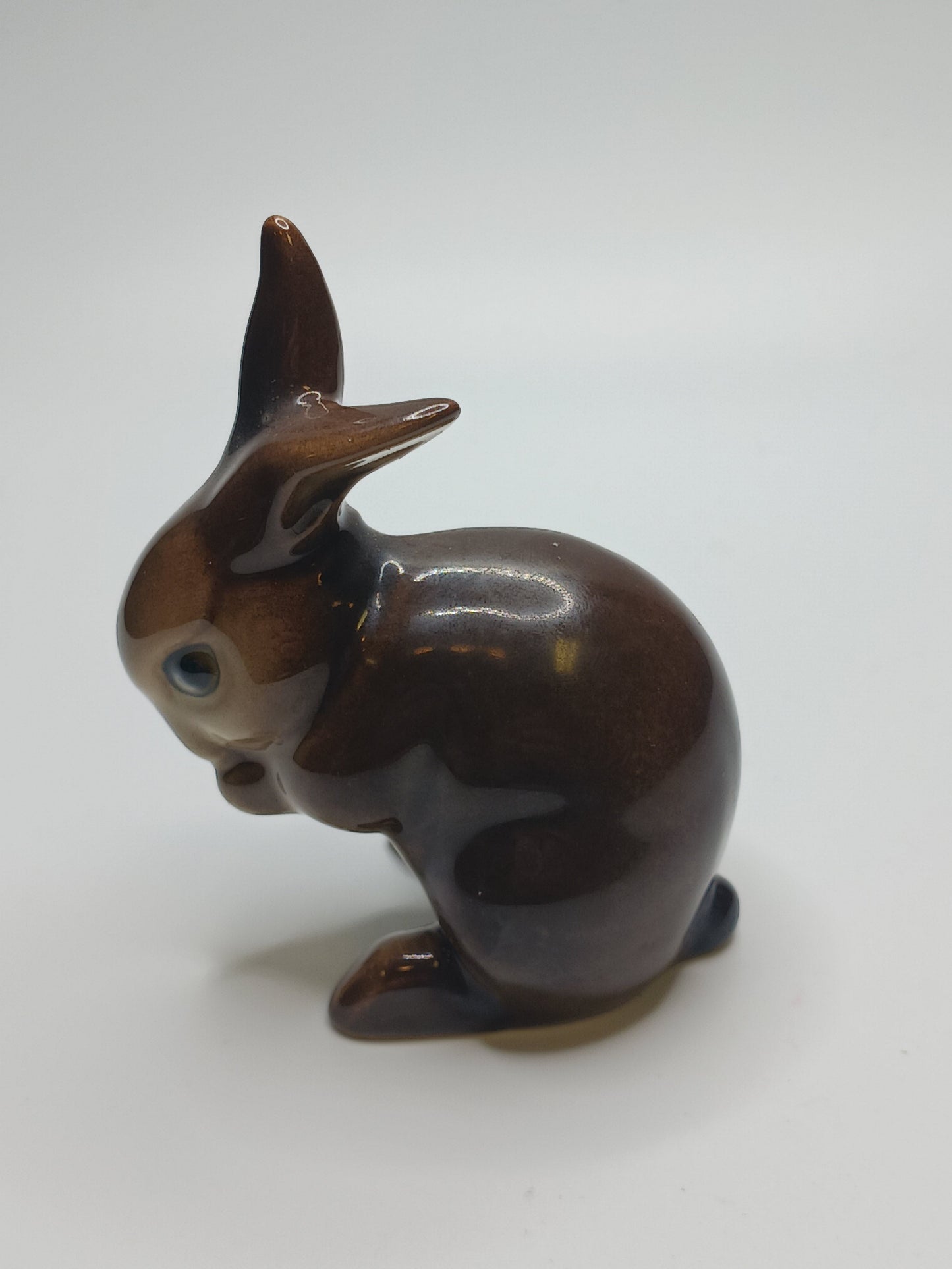 Brown Bunny