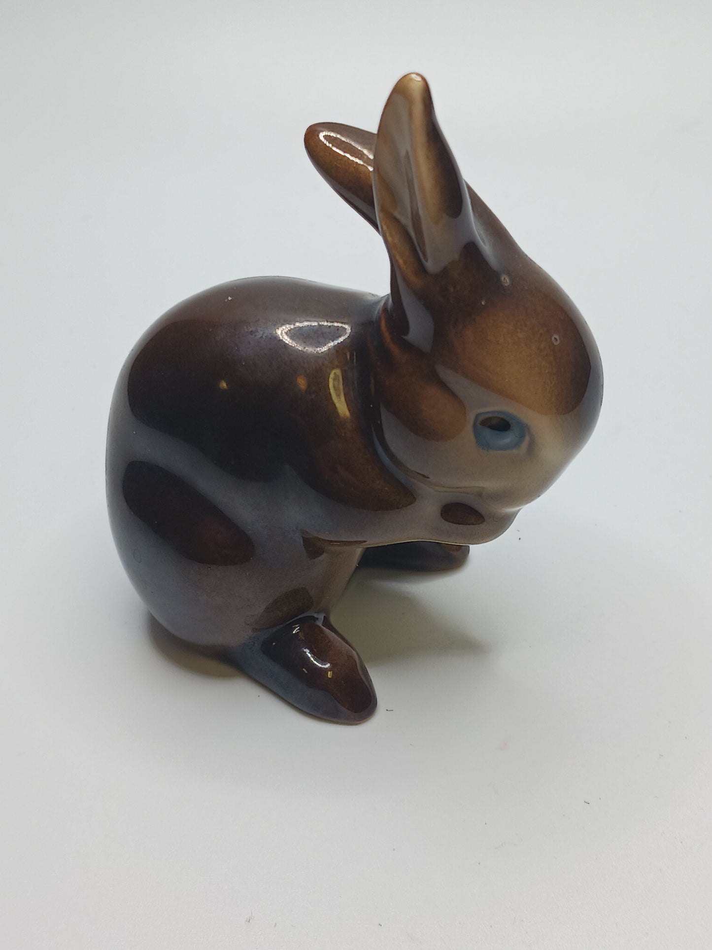 Brown Bunny