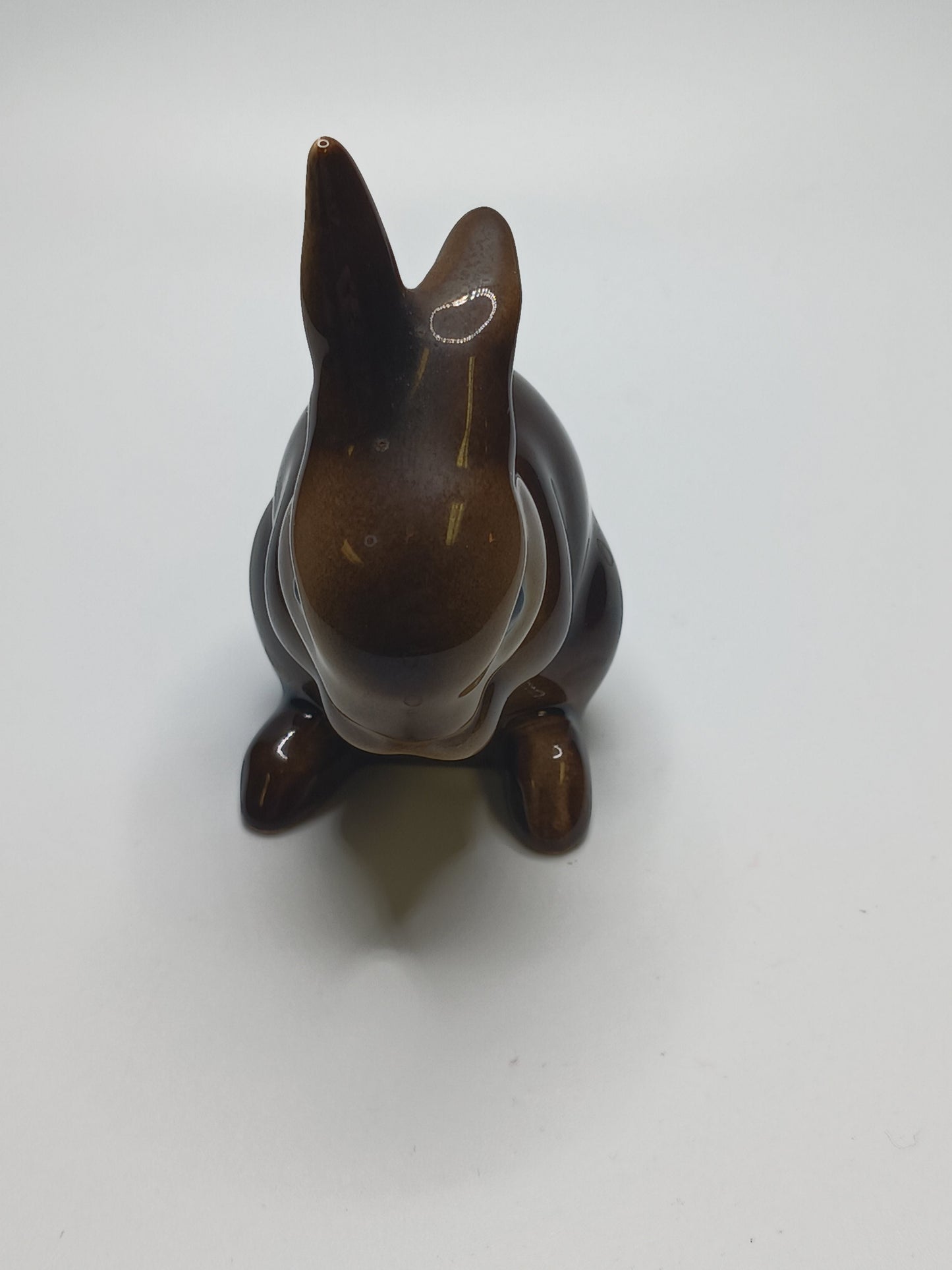 Brown Bunny