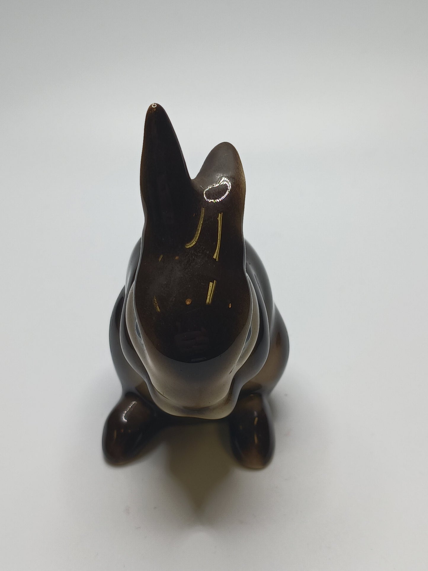 Brown Bunny