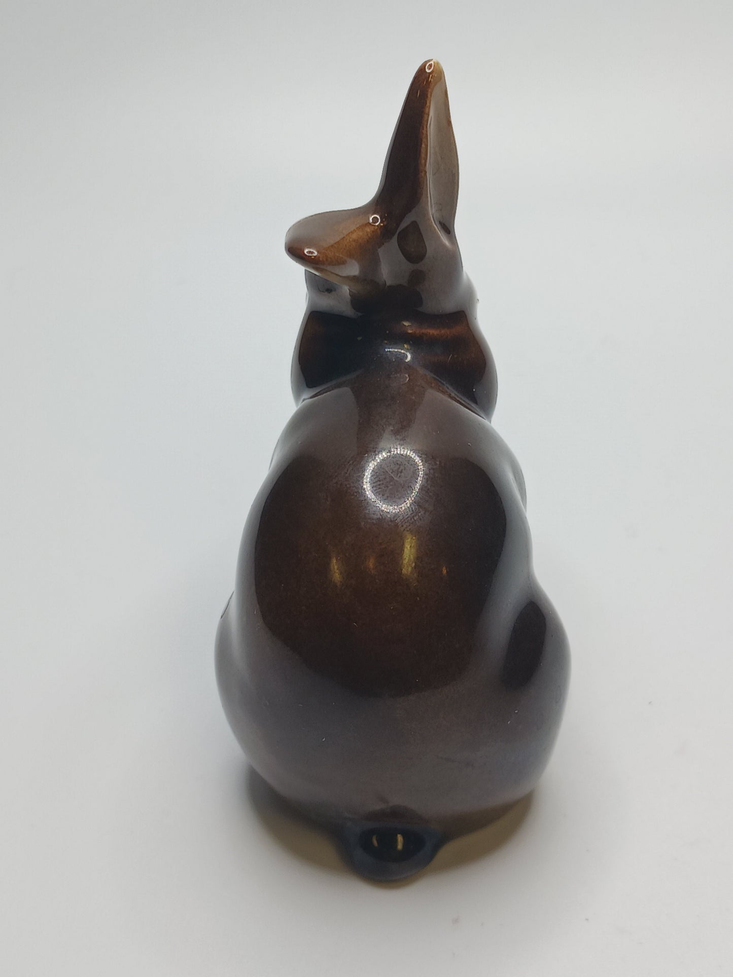 Brown Bunny