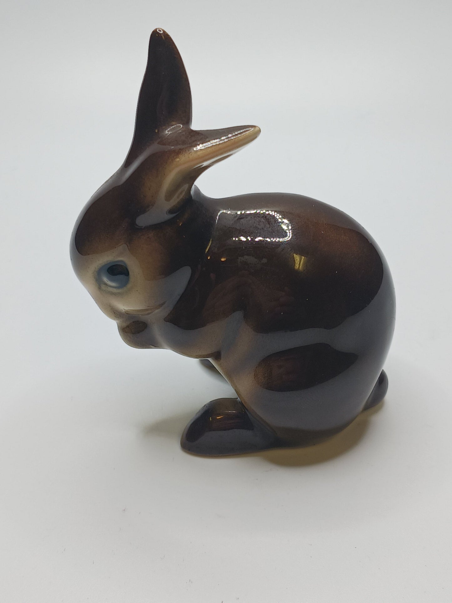 Brown Bunny