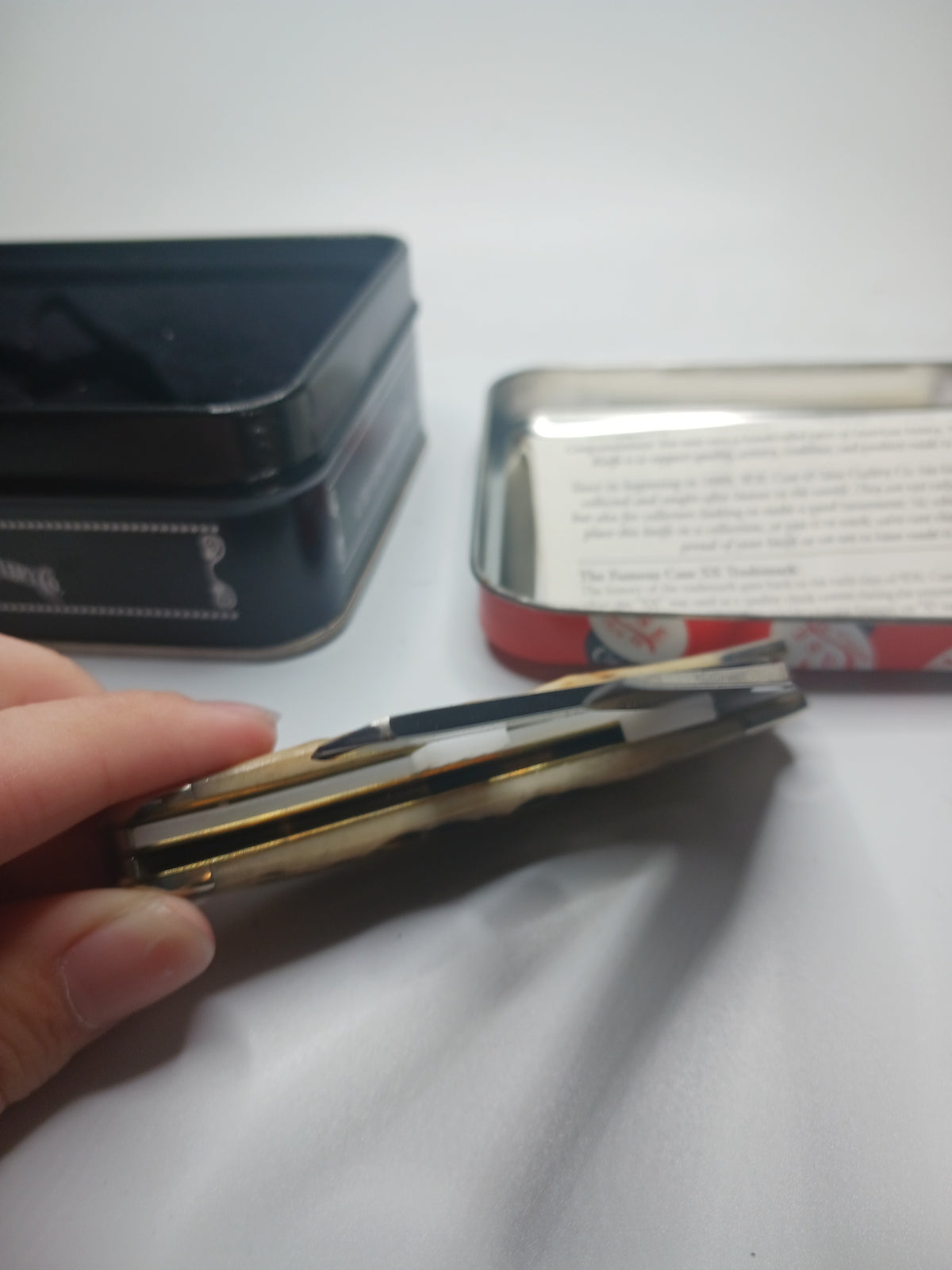 Case XX 6207 SS Mini Trapper