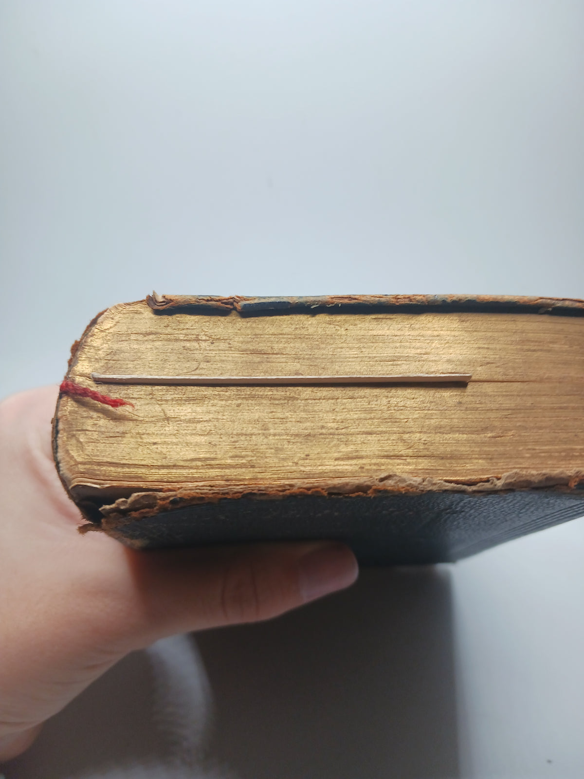 Antique Bible