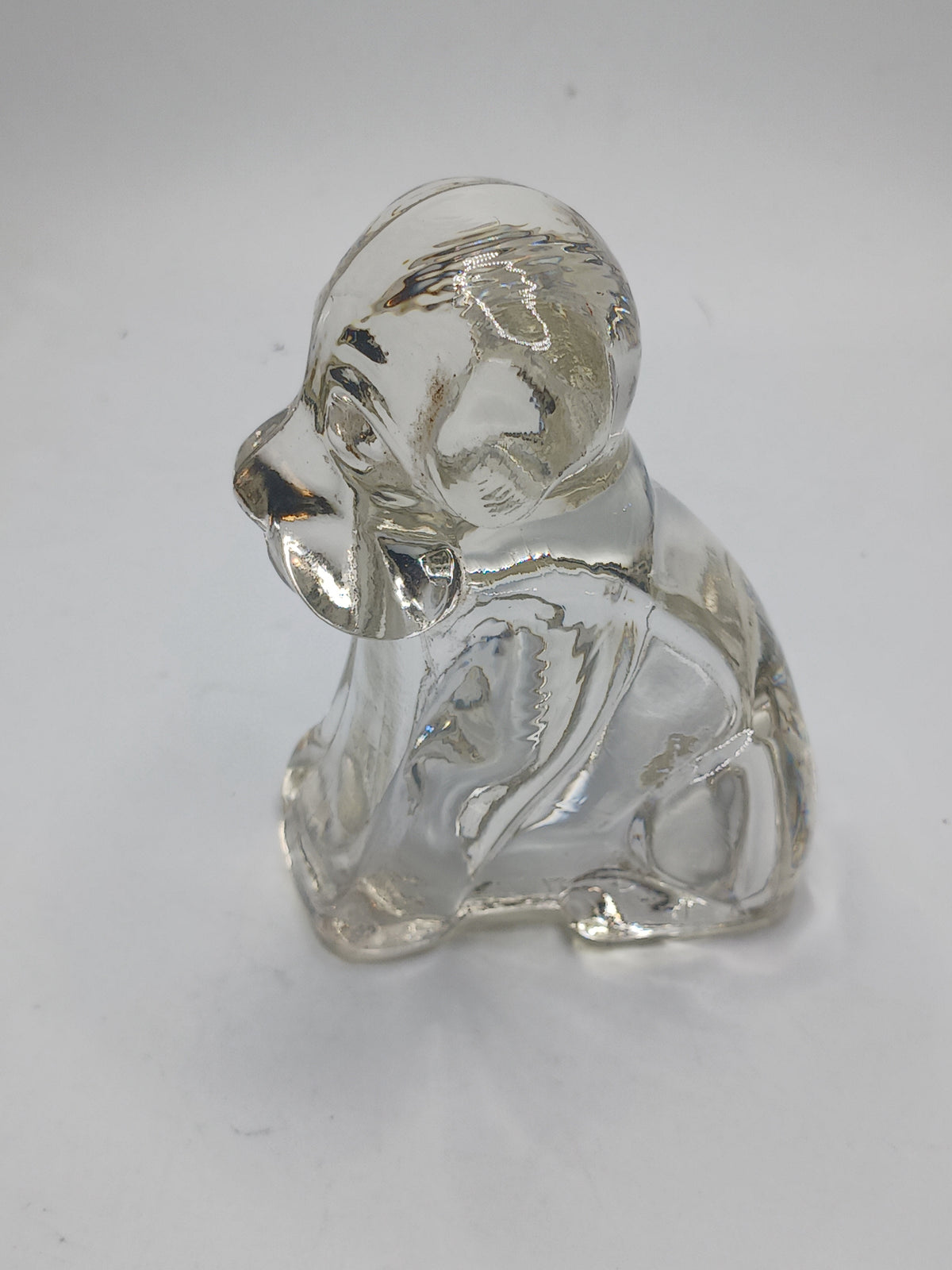Federal Glass Hound