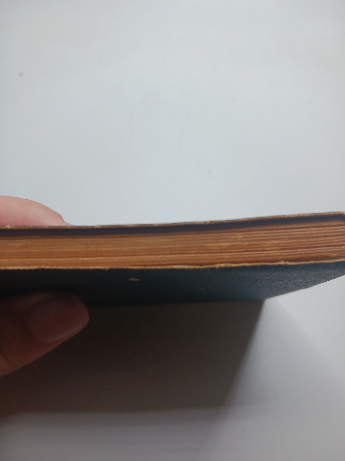 1916 Mini Leather Book
