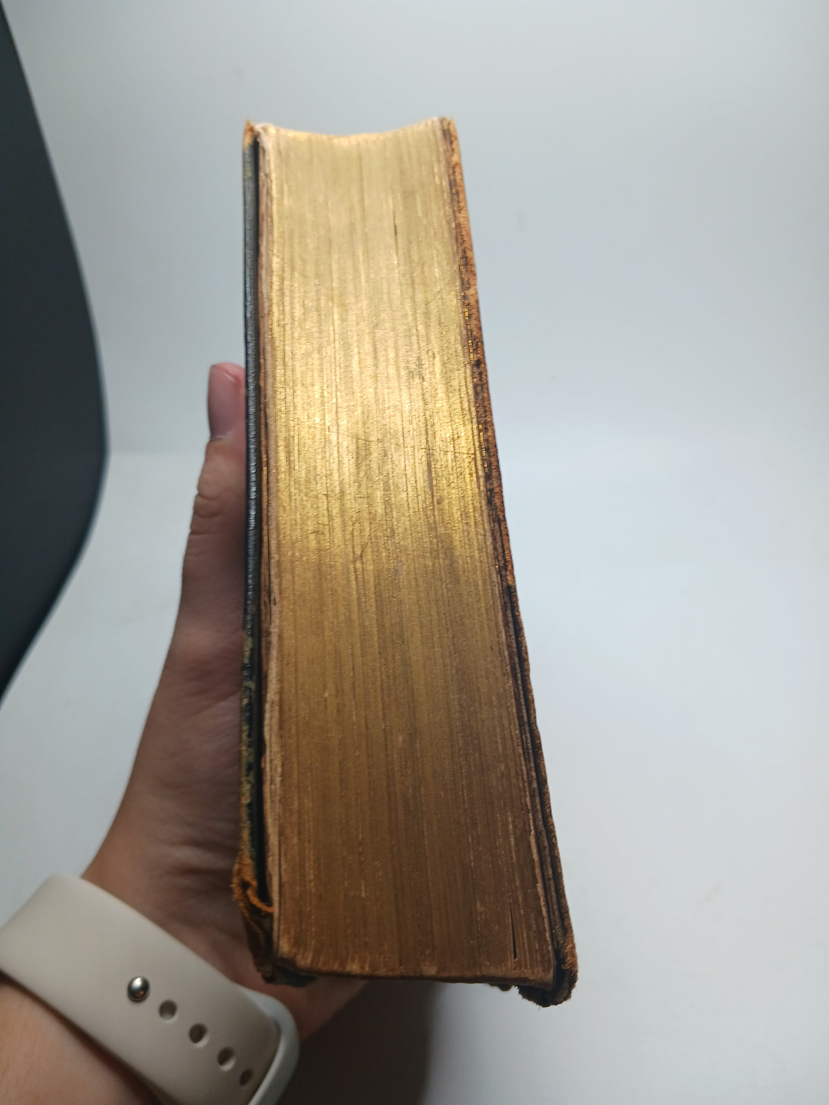 Antique Bible