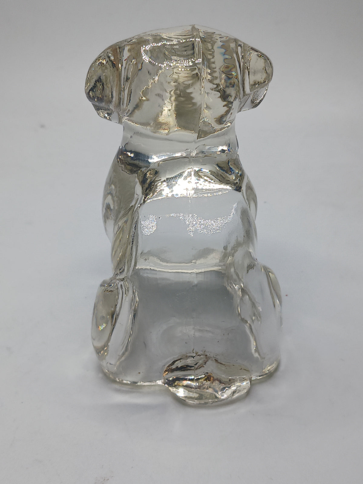 Federal Glass Hound