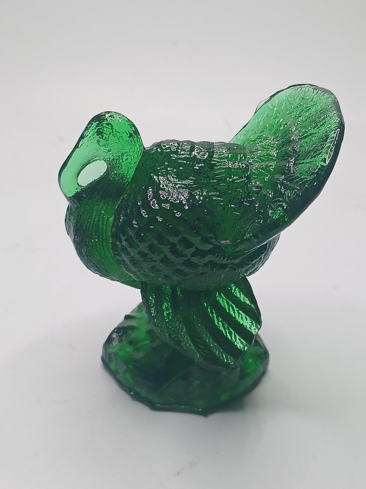 Green Mosser Turkey
