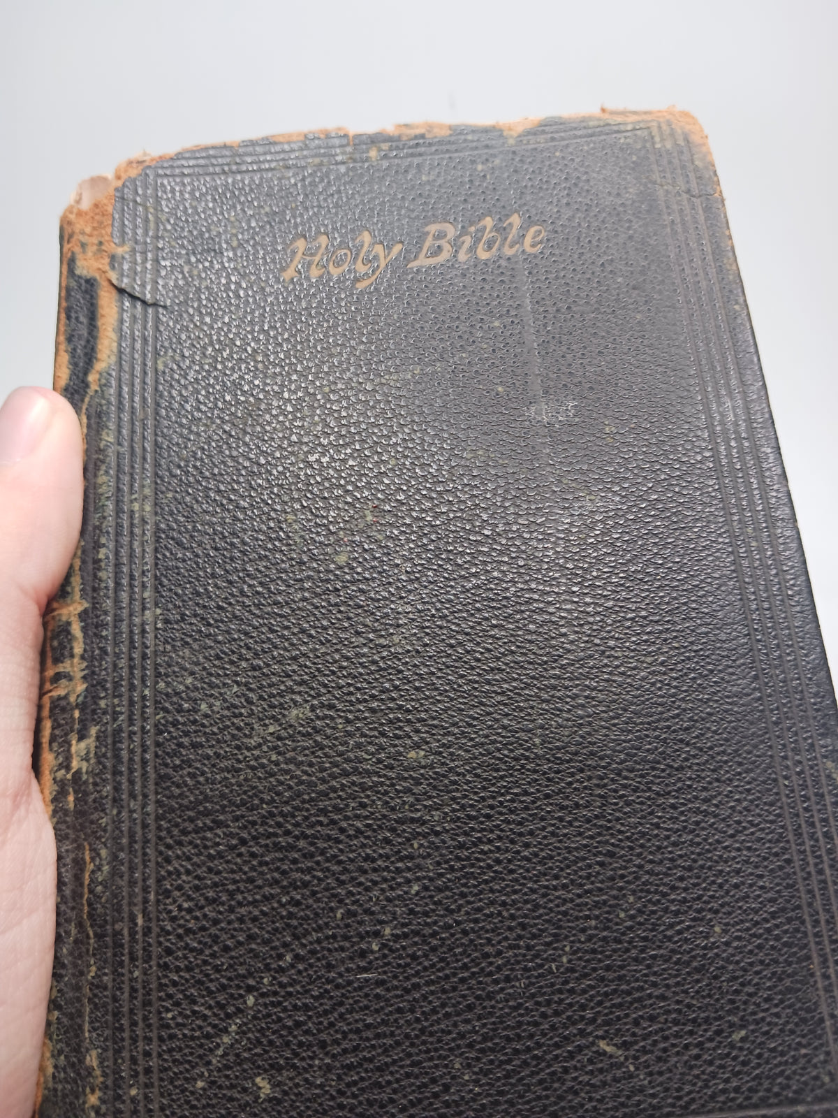 Antique Bible